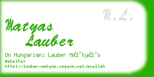 matyas lauber business card